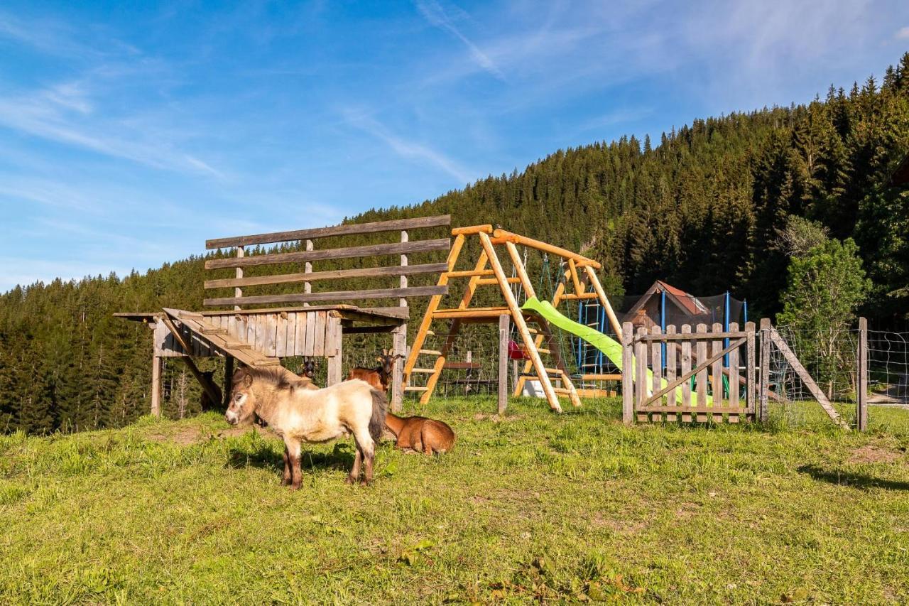 Bucheggerhof Schladming Exterior foto